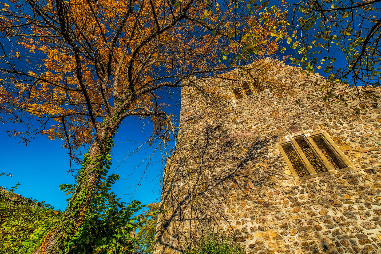 Burg Badenweiler 