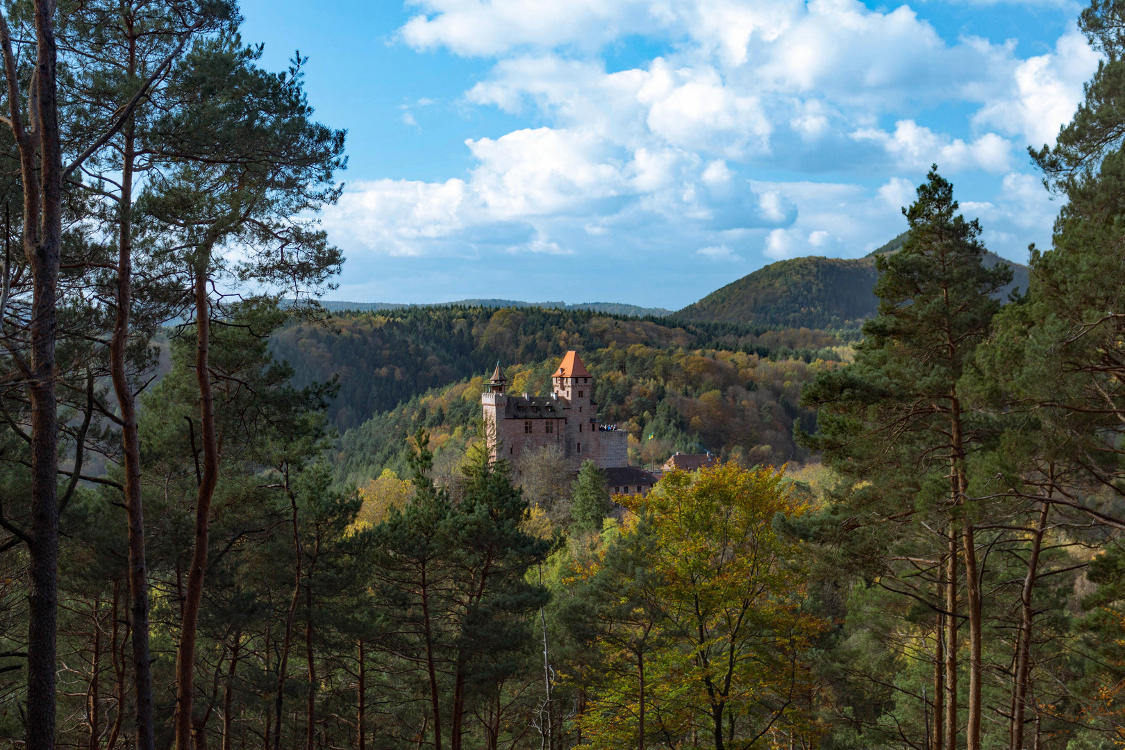 Burg Bärwartstein