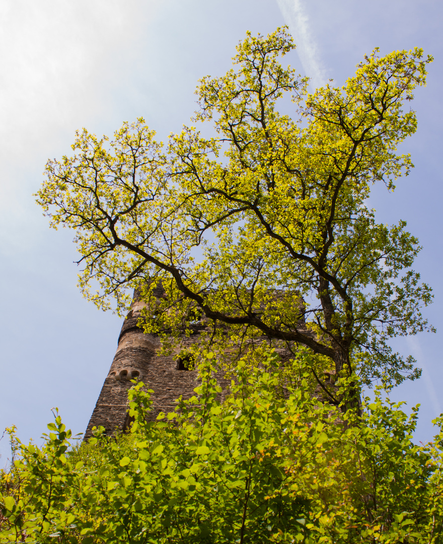 Burg Balduinseck