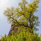 Burg Balduinseck