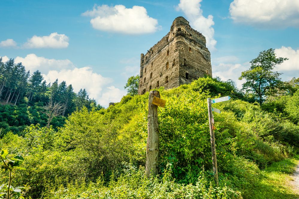 Burg Balduinseck 99