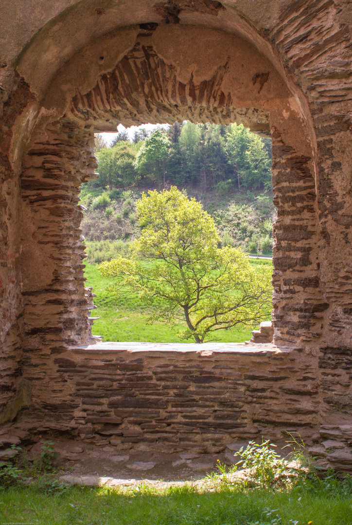 Burg Balduinseck als Bilderrahmen