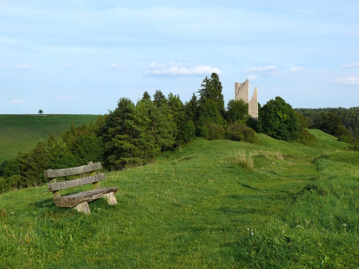 Burg Bechthal