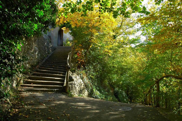 Burg bei herbstlichen Farben