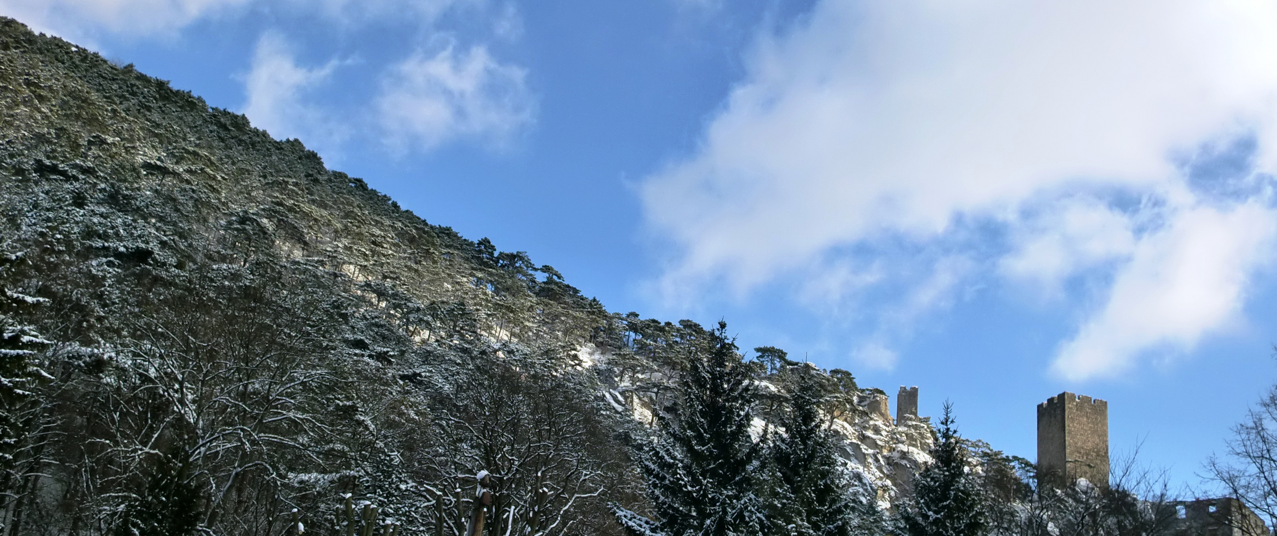 Burg bei Wien