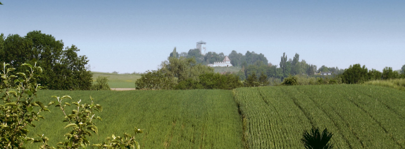 Burg Beilstein Württ.