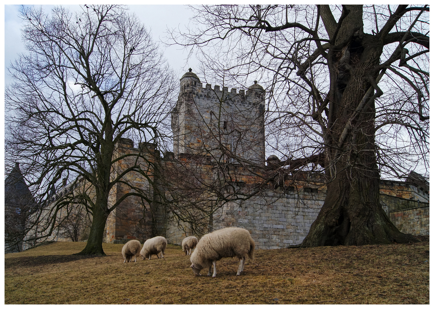 Burg Bentheim ...