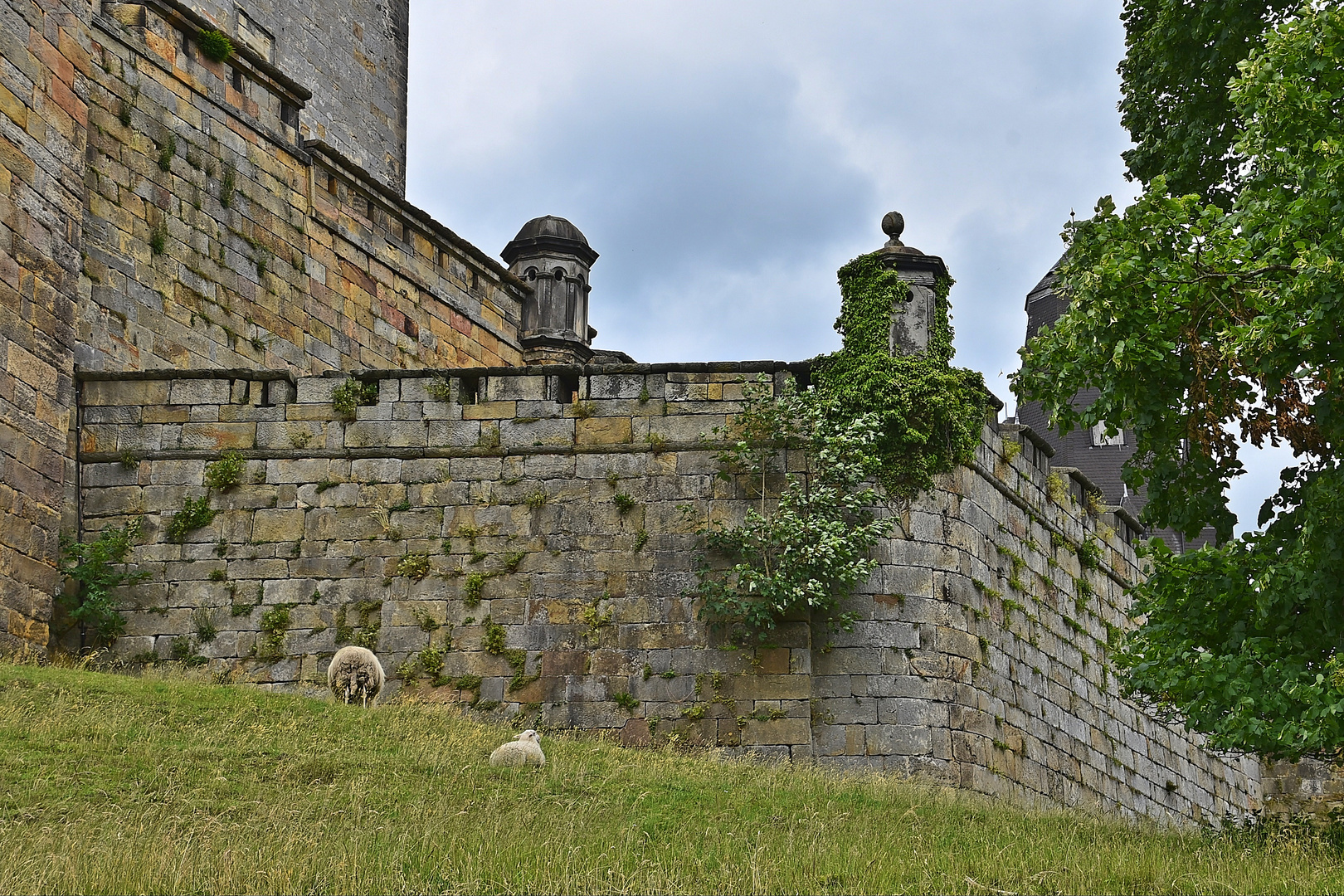 Burg Bentheim