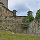 Burg Bentheim