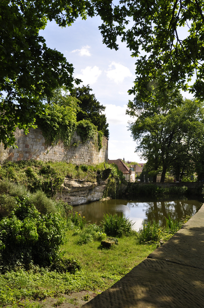 Burg Bentheim mit altem Burggraben