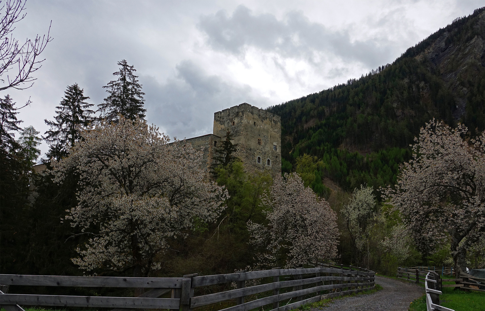 Burg Berneck