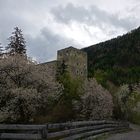 Burg Berneck