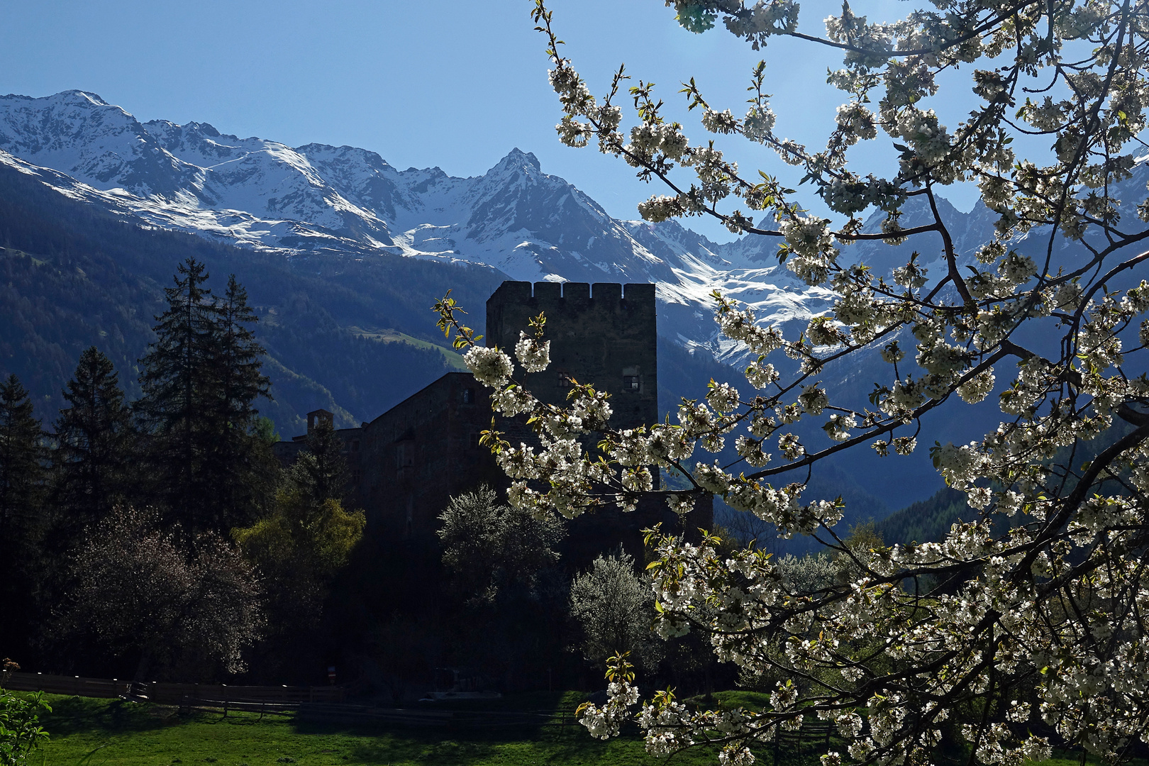 Burg Bernegg