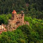 Burg  Berwartstein 