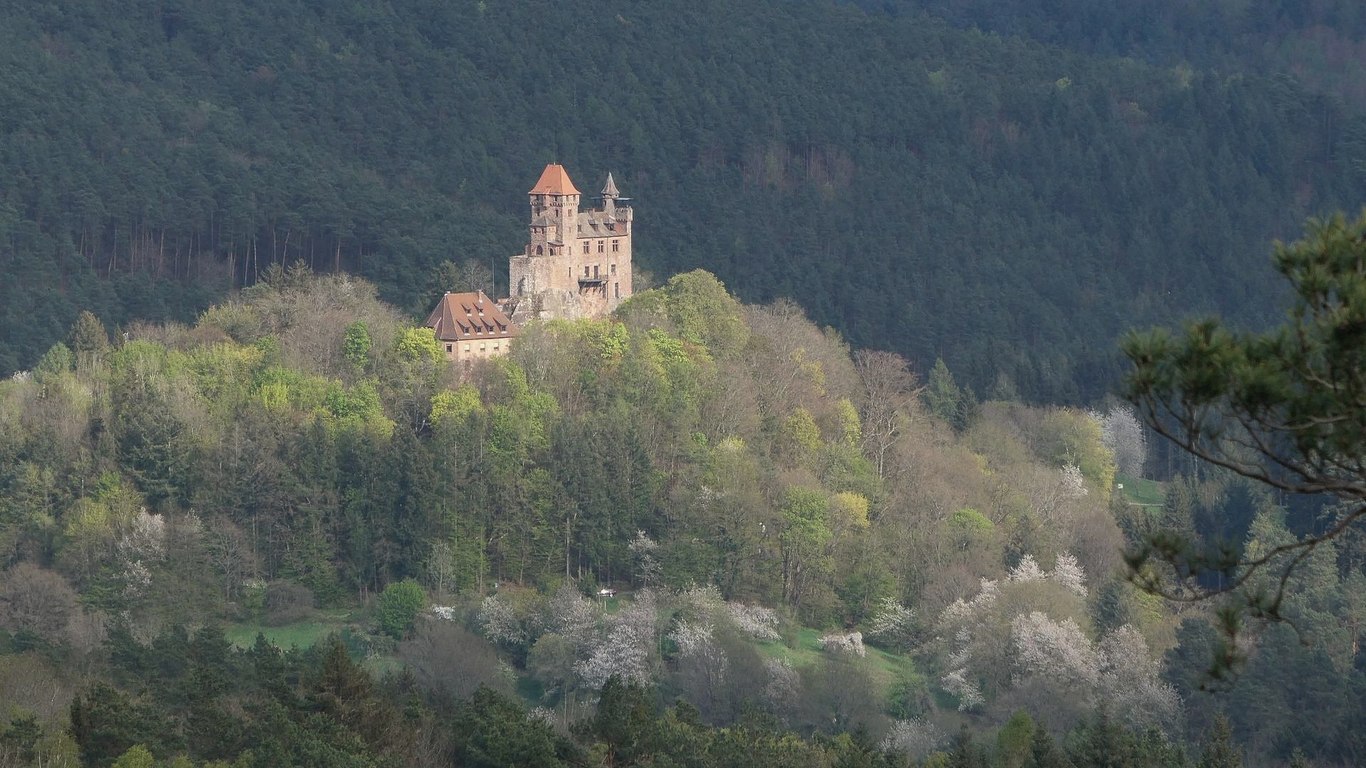 Burg Berwartstein