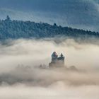 Burg Berwartstein im Nebel