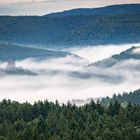 Burg Bewartstein im Morgennebel 1