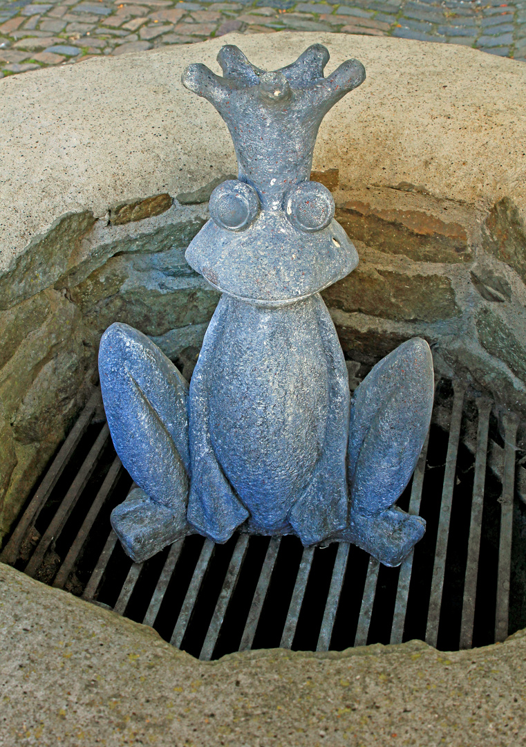 Burg Bilstein in Lennestadt-Bilstein (3) mit Froschkönig