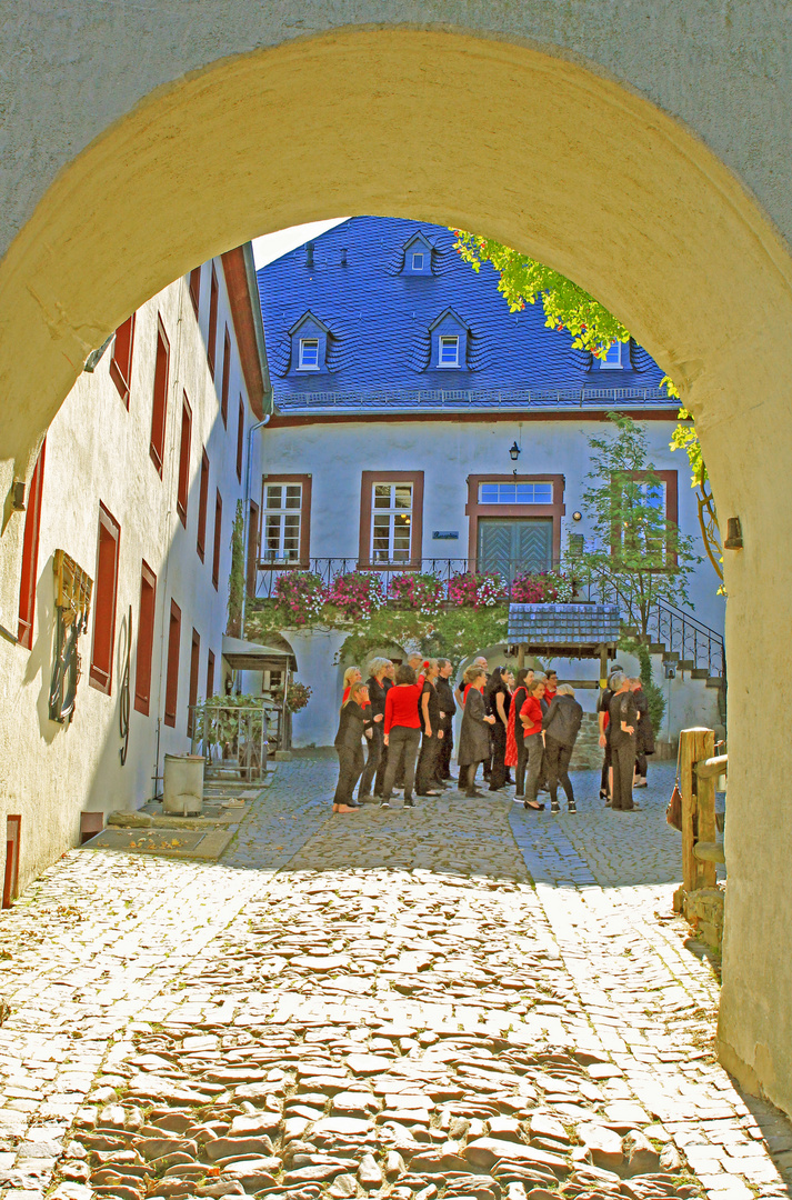 Burg Bilstein in Lennestadt-Bilstein (6)