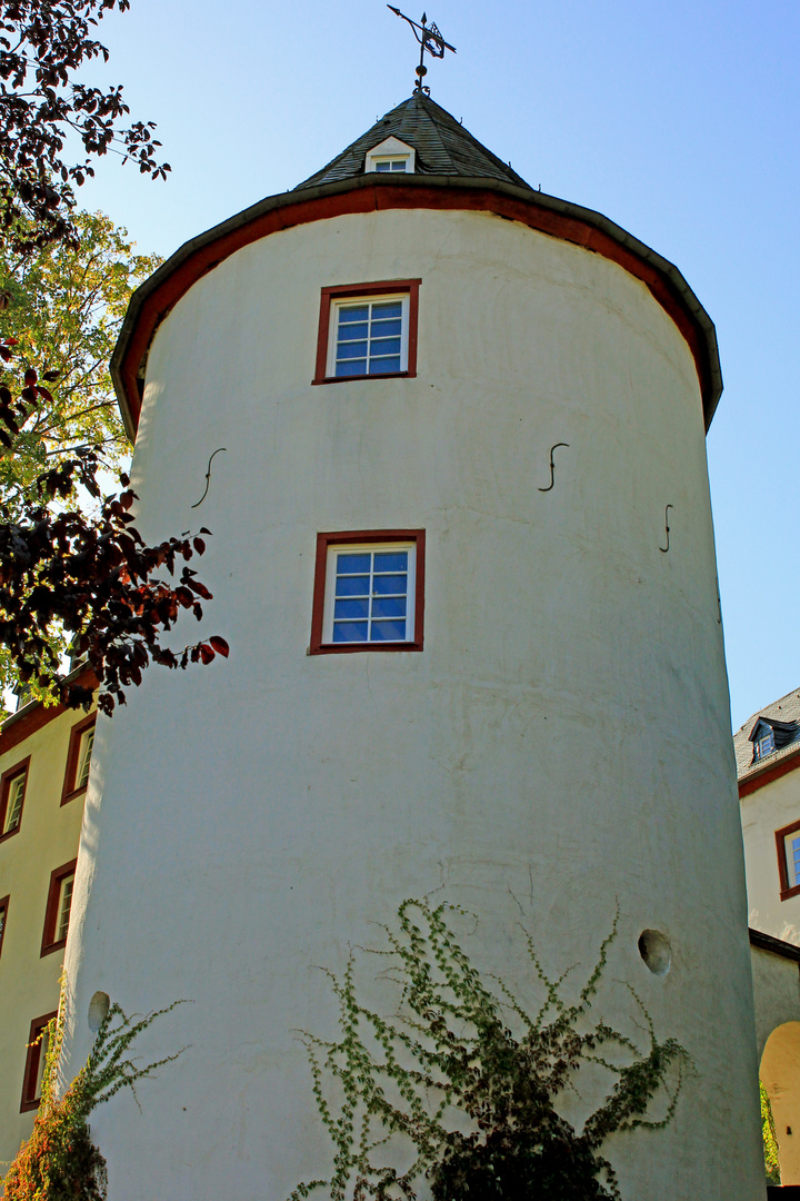 Burg Bilstein in Lennestadt-Bilstein (8) 