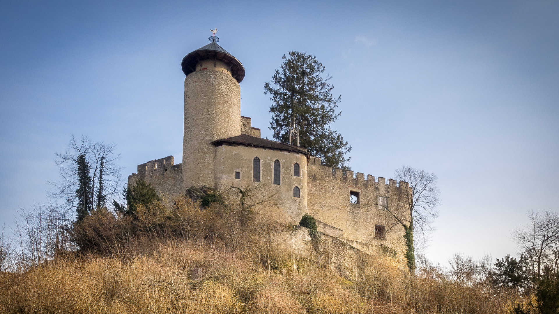 Burg Birseck