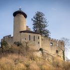 Burg Birseck