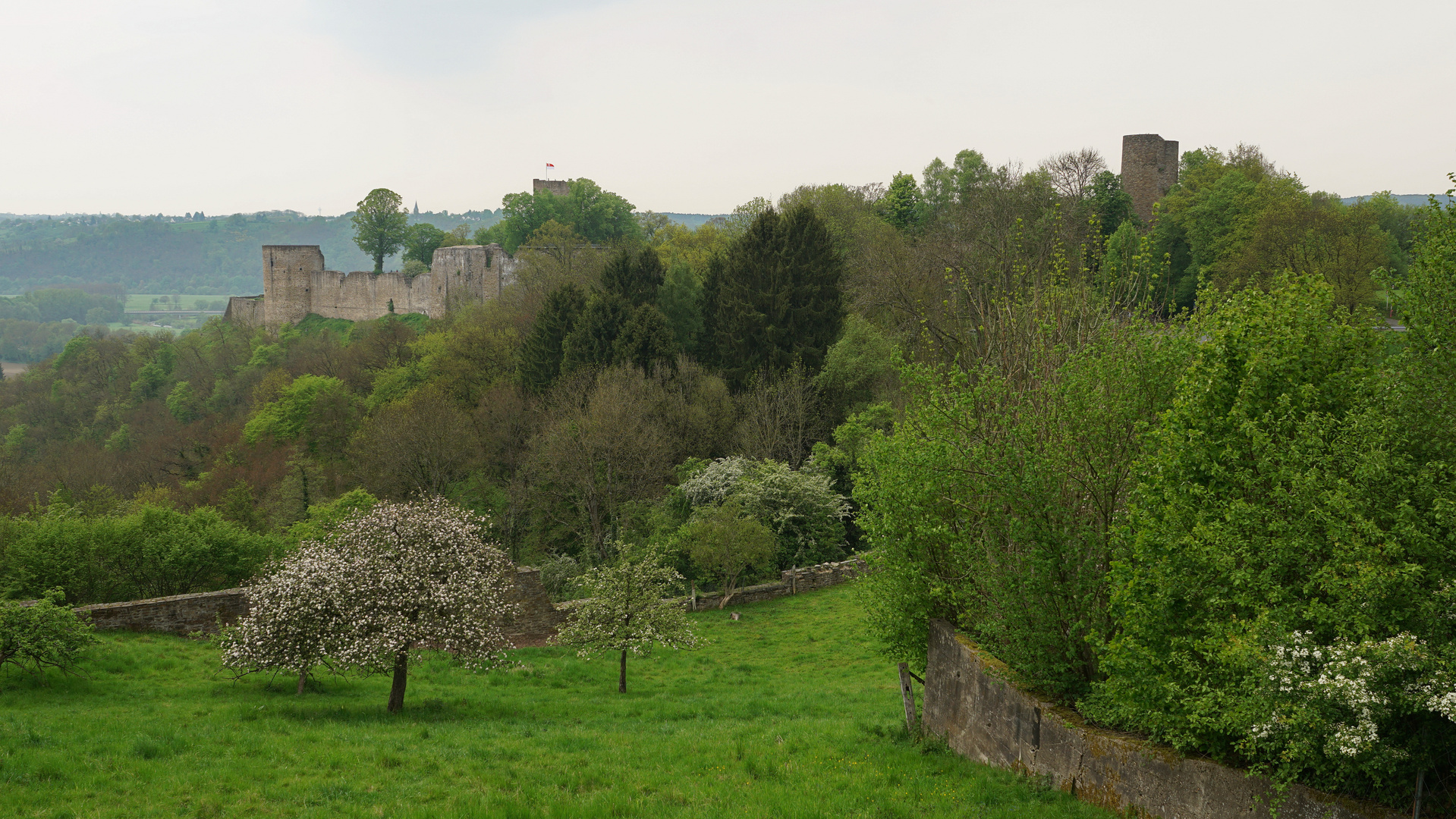 Burg Blankenberg