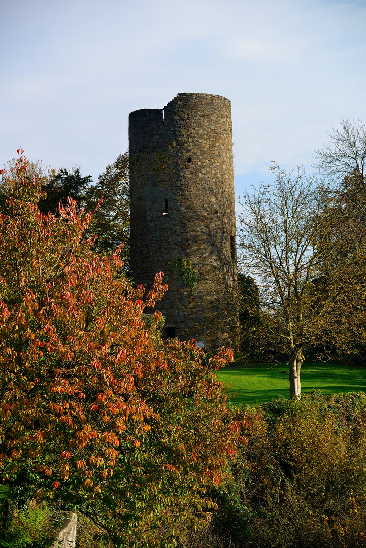 Burg Blankenberg