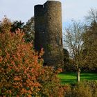 Burg Blankenberg