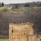 Burg Blankenberg im Siegtal