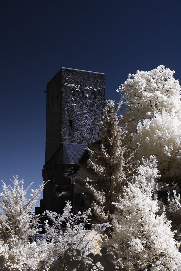 Burg Blankenstein