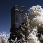 Burg Blankenstein