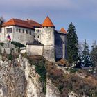 Burg Bled