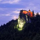 Burg BLED