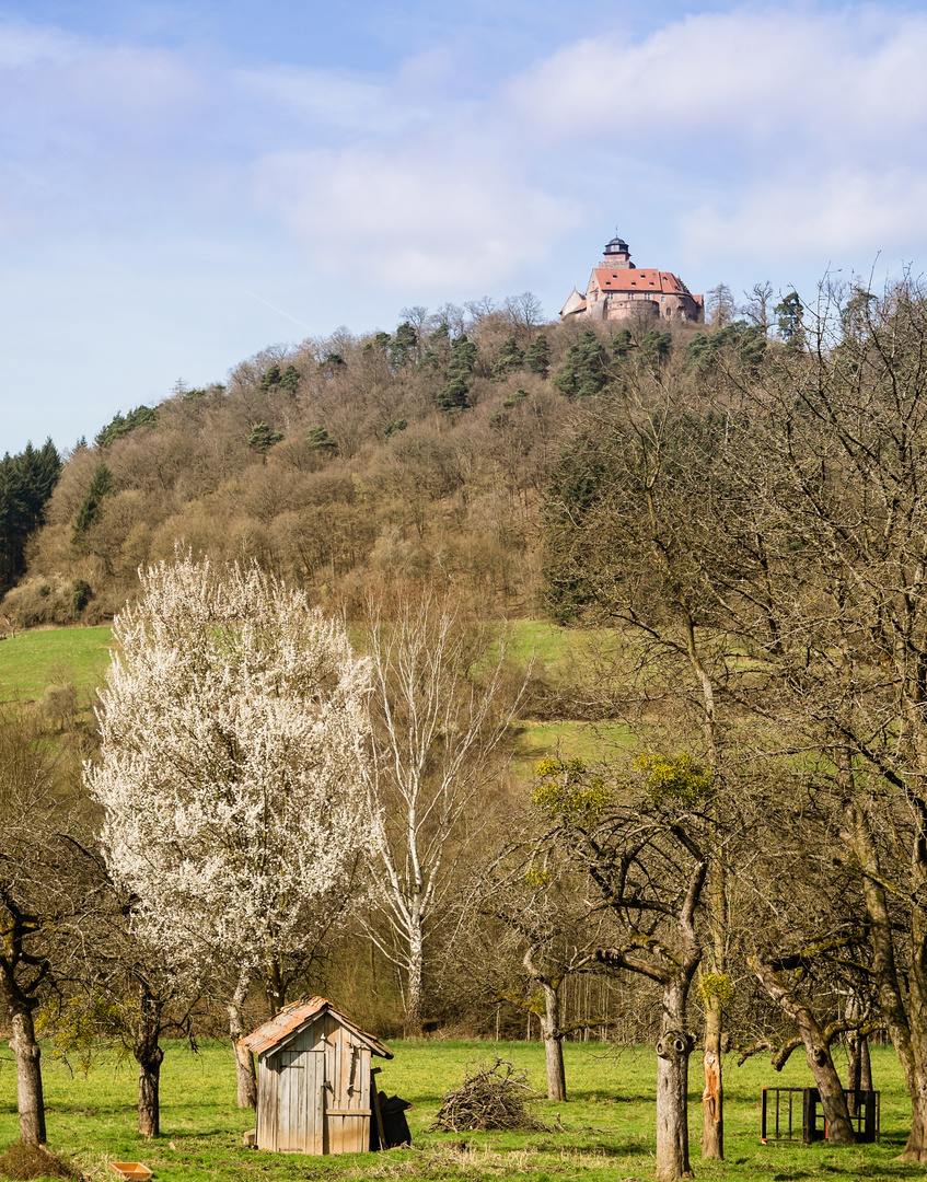 Burg Breuberg