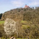 Burg Breuberg