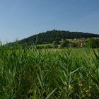 Burg Breuberg im Frühsommer