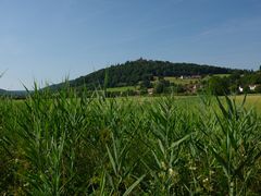 Burg Breuberg im Frühsommer