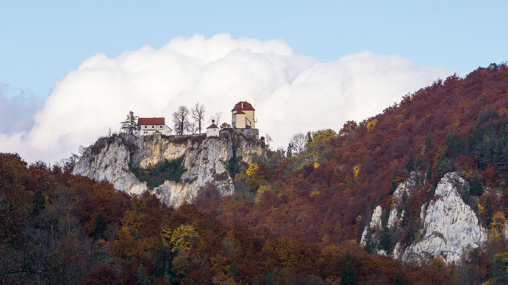 Burg Bronnen