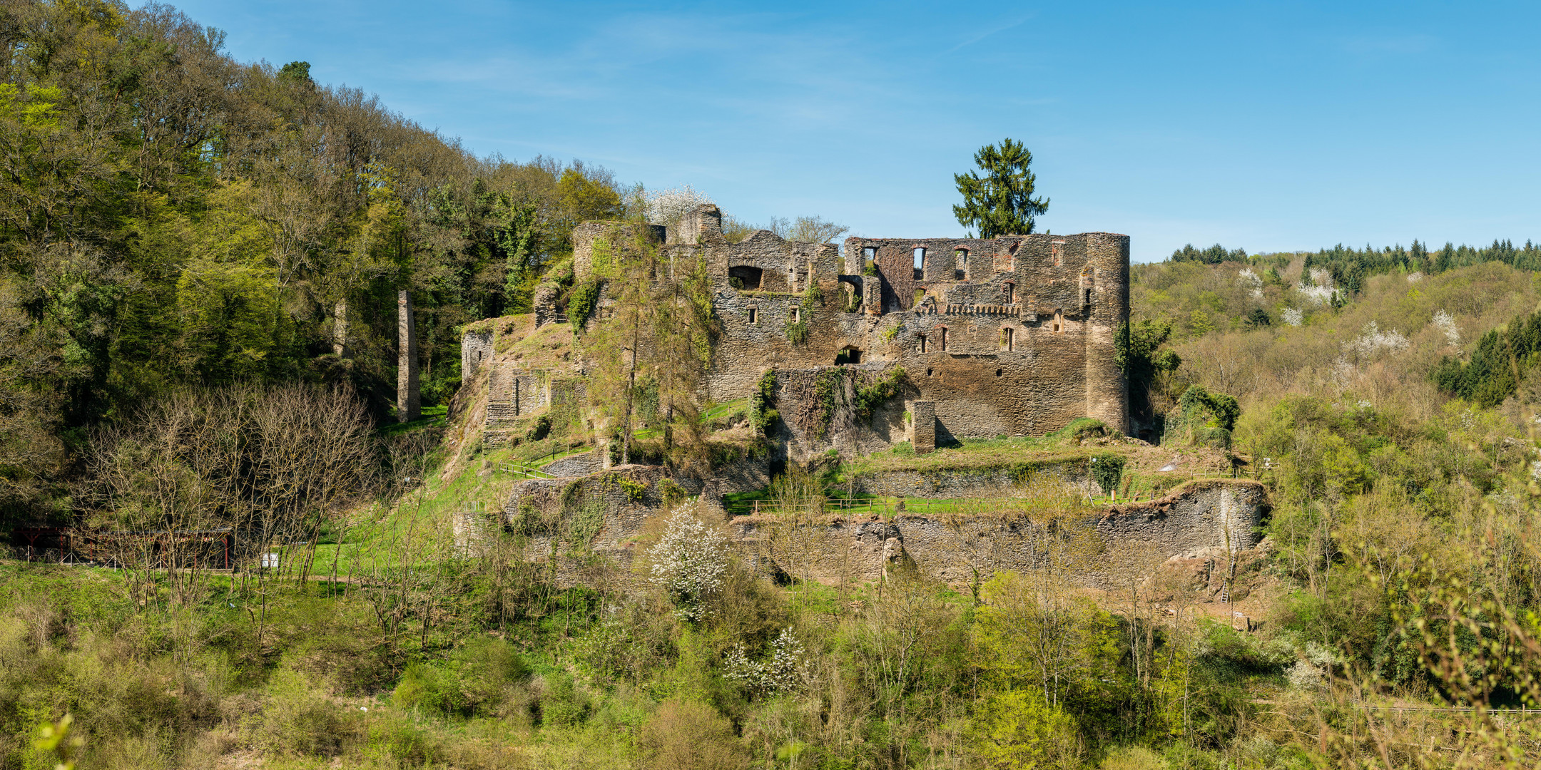 Burg Dalberg (1)