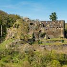 Burg Dalberg (1)