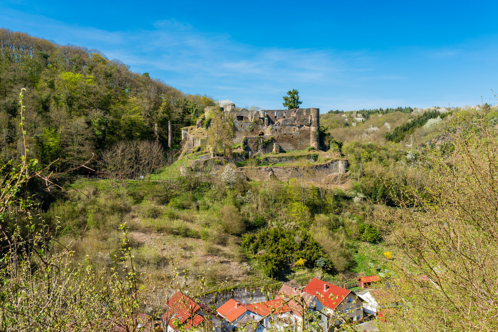 Burg Dalberg 13