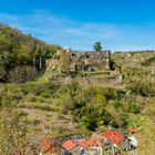 Burg Dalberg 13