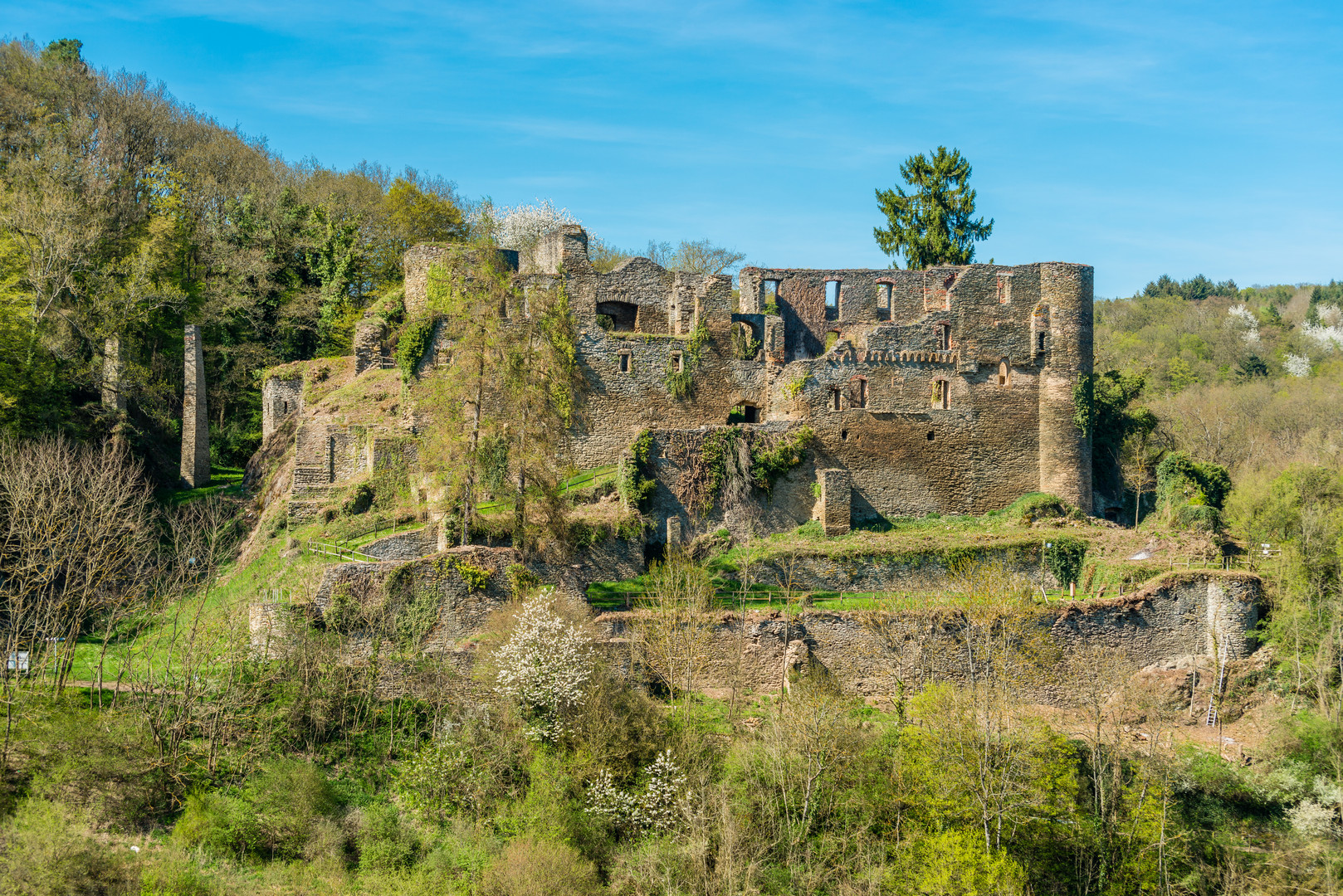 Burg Dalberg 18