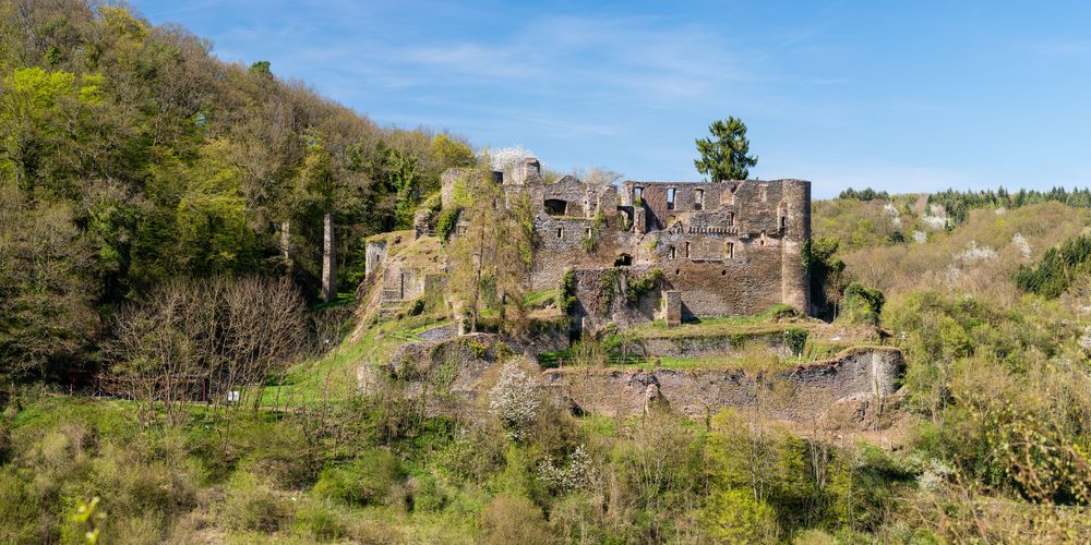 Burg Dalberg (3)