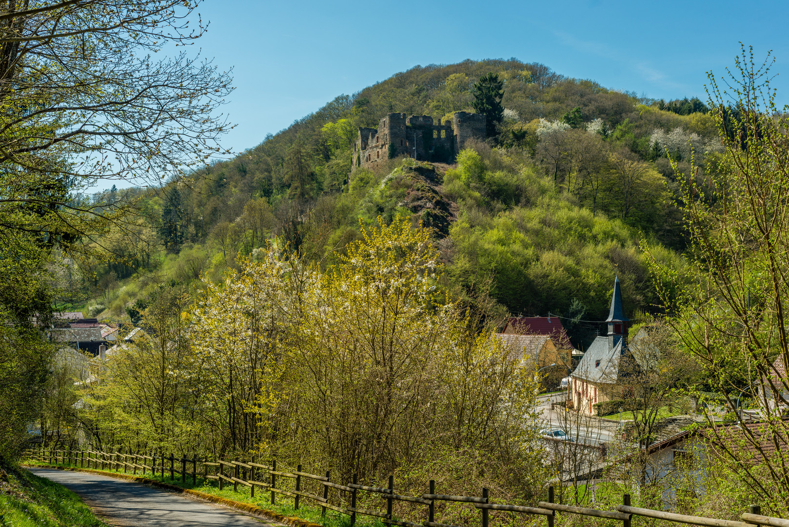 Burg Dalberg 48