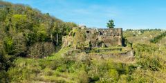 Burg Dalberg (5)