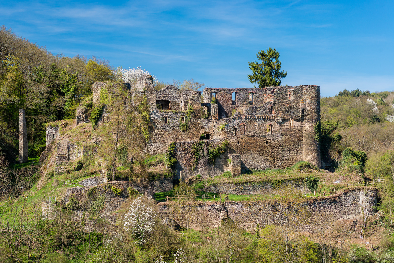 Burg Dalberg 80