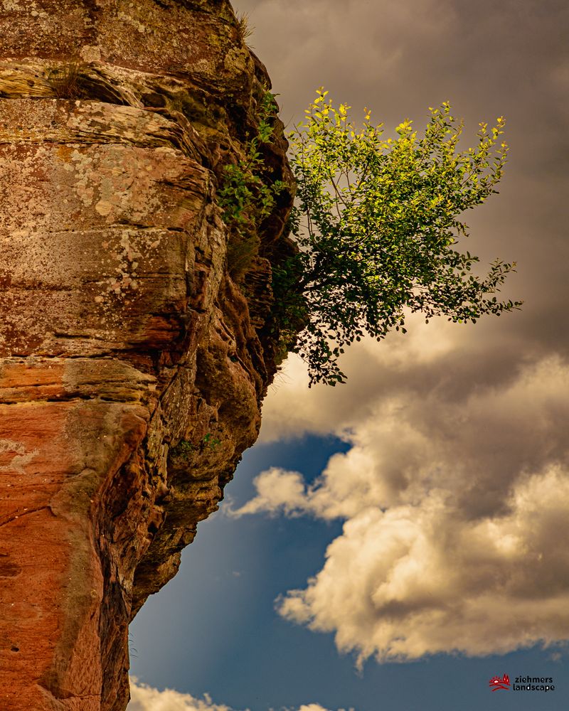 Burg Drachenfels