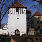 Burg Düben